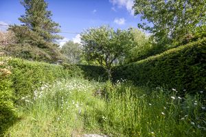 6CW_Front Garden- click for photo gallery